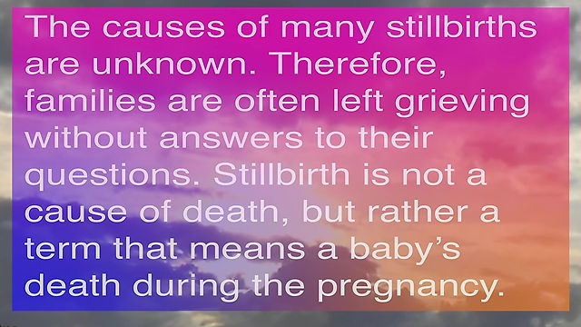 Stillbirth Statistics